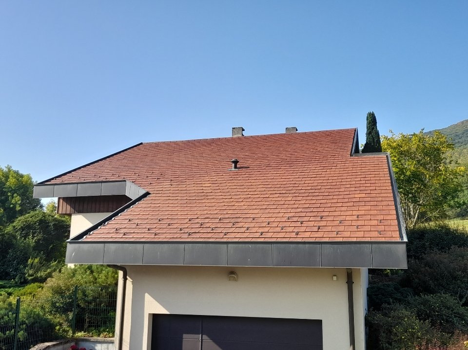 resized 20250812 0928081